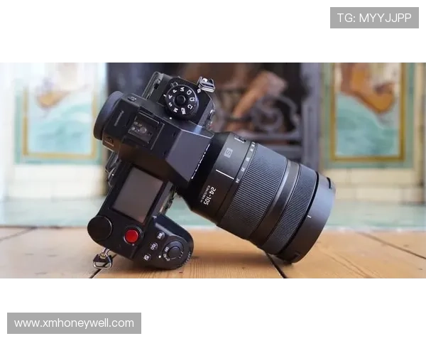 #一场秋冬的美好邂逅 佳能EOS R5&R6 摄影大赛投稿精选丨千姿百态的秋冬盛景，哪一款是你的最爱？