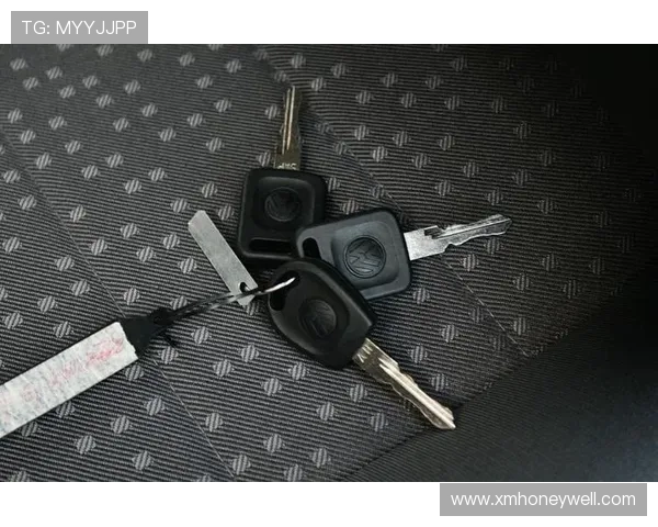 103微帮忙马女士在安全路丢失一把桑塔纳汽车钥匙带遥控器 103微帮忙马女士在安全路丢失一把桑塔纳汽车钥匙带遥控器