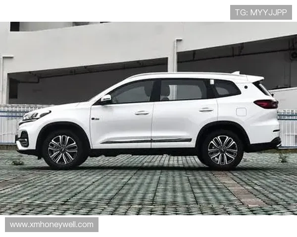 11万买7座SUV还带座椅通风？瑞虎8这价格让合资车慌了！